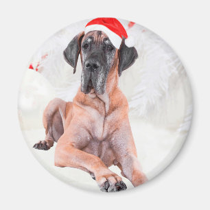 Aimant Grand chien Danse Casquette Joyeux Noël