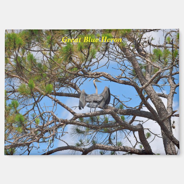 Aimant Grand héron bleu (Recto)