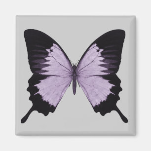 Aimant Grand papillon violet et noir