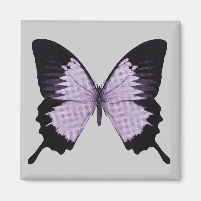 Aimant Grand papillon violet et noir (Devant)
