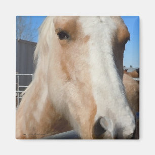 Aimant Grand poney blond d'or de palomino de yeux foncés
