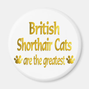 Aimant Grand Shorthair britannique