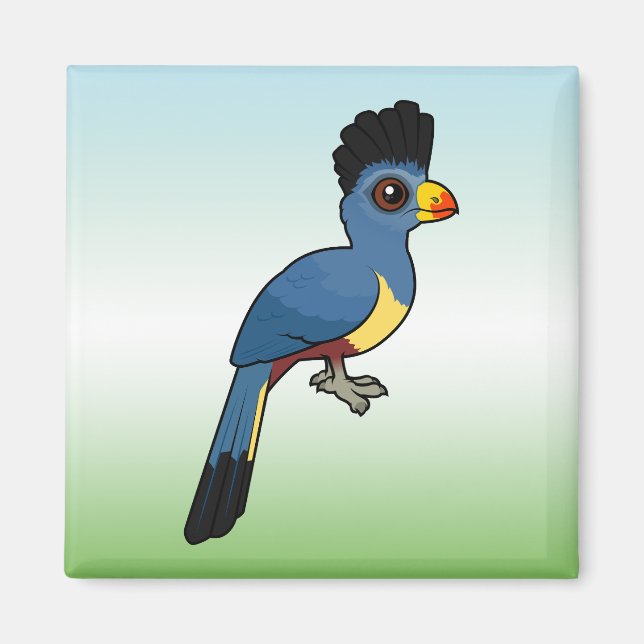 Aimant Grand Turaco (Devant)