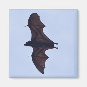 Aimant Grande chauve-souris volante