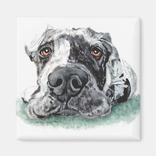 Aimant Grande Danse Tapissée Merle