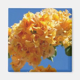 Aimant Grappe de Fleur Tropicale de Bougainvillée Dorée
