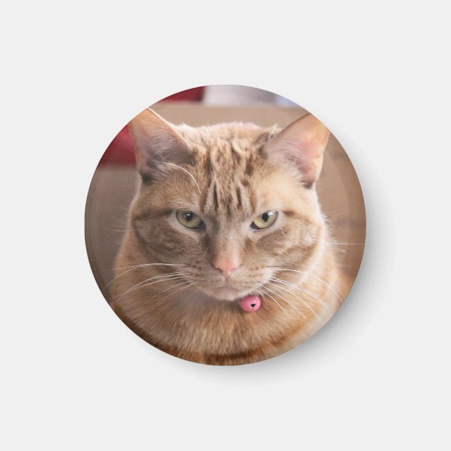 Aimant Grave (Devant)