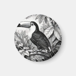 Aimant Gravure de Toucan dans le Feuillage de la Jungle