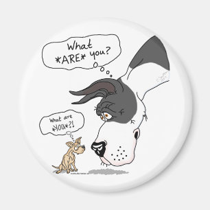 Aimant Great Dane & Chihuahua Mantle