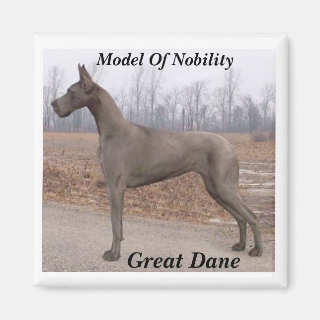 Aimant Great Dane, Modèle de l'aimant Noble (Devant)