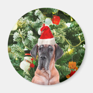 Aimant Great Dane w Christmas Tree Cadeaux Boîtes de Noël