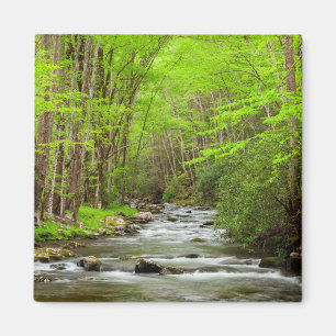 Aimant Great Smoky Mountains National Park Caroline du No