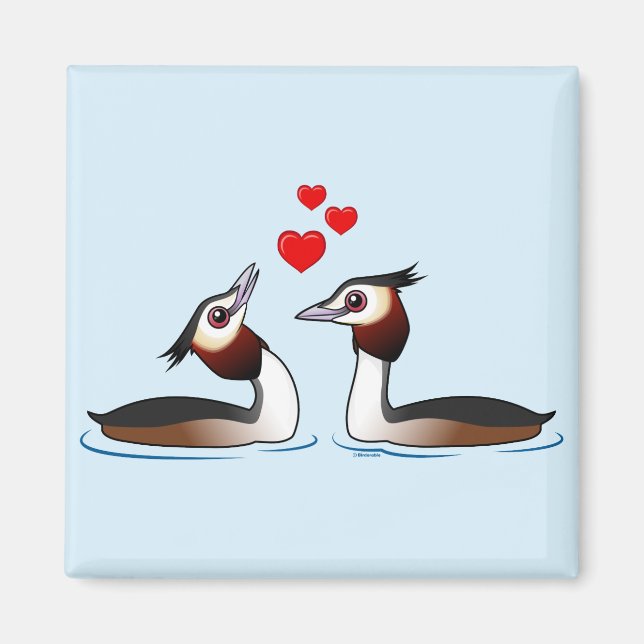 Aimant Grèbes en amour (Devant)