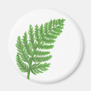 Aimant Green Fern, green foliage, botanical pattern