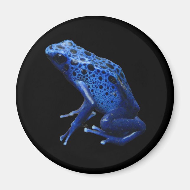 Aimant Grenouille à tarte à poison bleu (Devant)