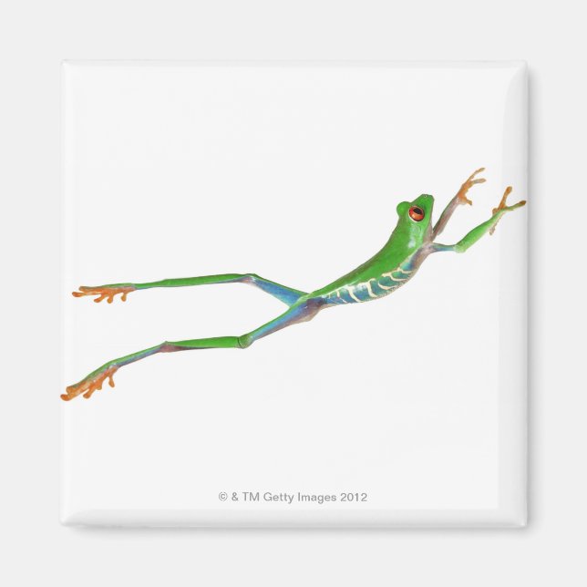 Aimant Grenouille aux yeux rouges saut (Devant)