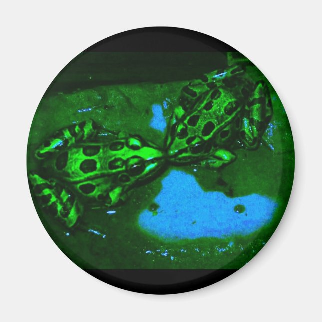 Aimant grenouille baiseuse (Devant)