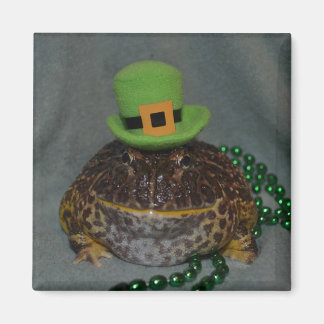 Aimant Grenouille mûre