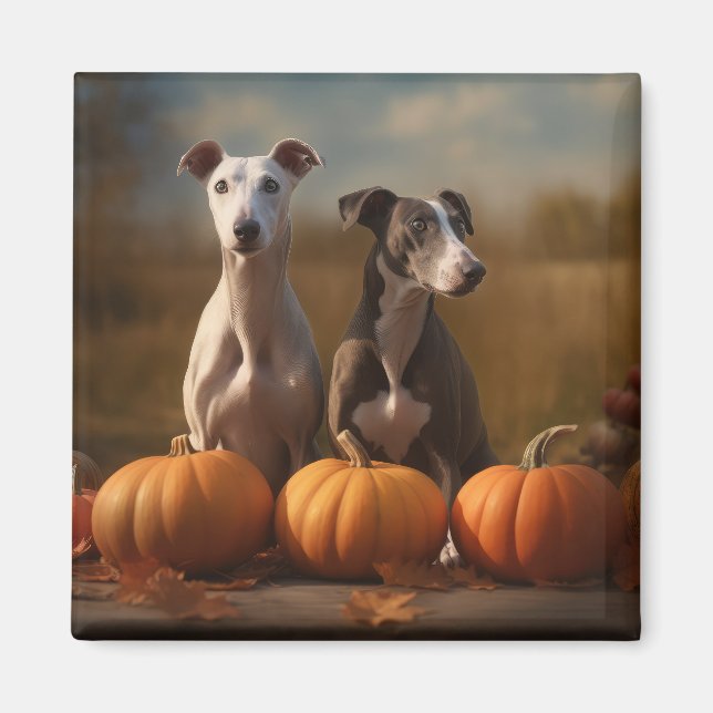 Aimant Greyhound Chiot Automne Citrouille de plaisir (Devant)
