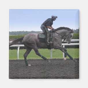 Aimant gris de cheval de course