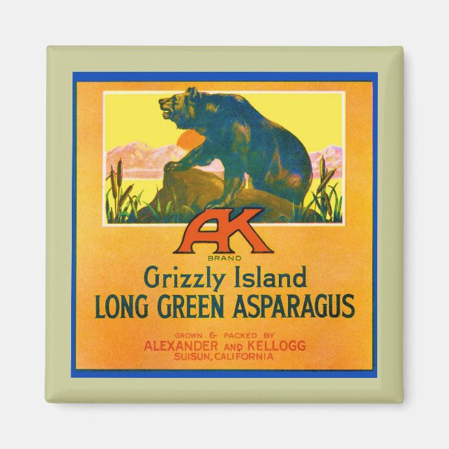 Aimant Grizzly Bear (Devant)