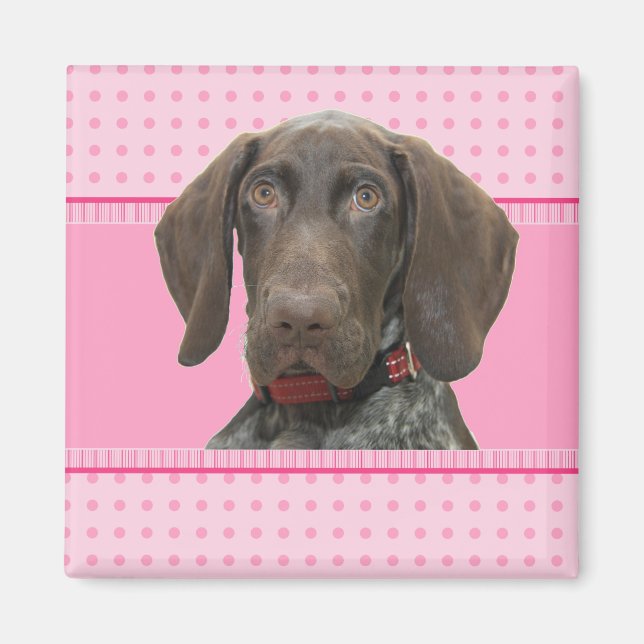 Aimant Grizzly brillant en rose (Devant)