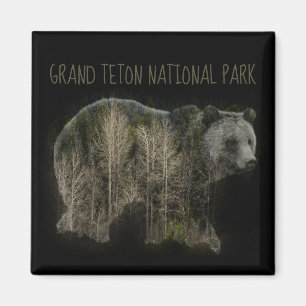 Aimant Grizzly Forest Grand Teton National Park