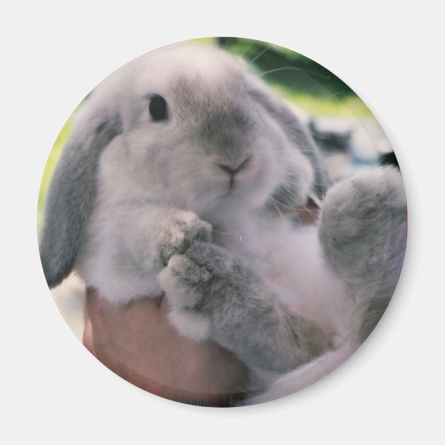 Aimant gros (Devant)