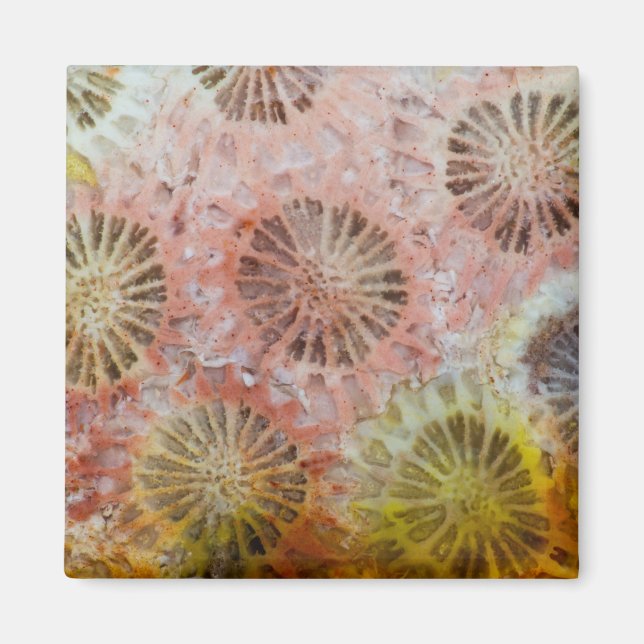 Aimant Gros plan de corail rose (Devant)
