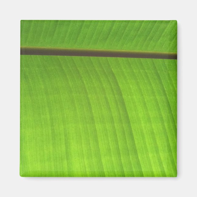 Aimant Gros plan de la feuille de banane (Devant)