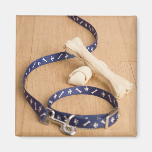Aimant Gros plan d'un collier et d'une laisse avec un chi (Devant)