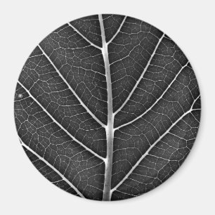 Aimant Gros plan sur une feuille lumineuse en noir et bla
