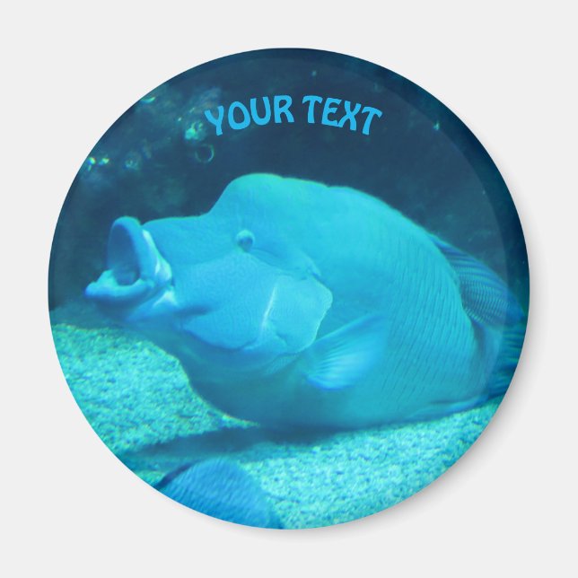 Aimant Gros poisson bleu (Devant)