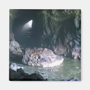 Aimant Grotte de lion de mer, OU