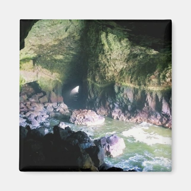 Aimant Grotte de lion de mer, OU (Devant)