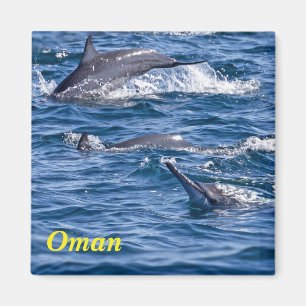 Aimant Groupe de dauphins de goulot - Oman