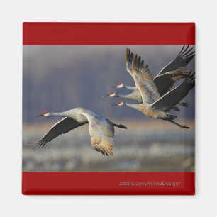 Aimant Grues