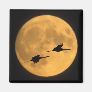 Aimant Grues du Canada Réserve nationale de faune