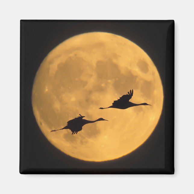 Aimant Grues du Canada | Réserve nationale de faune (Devant)