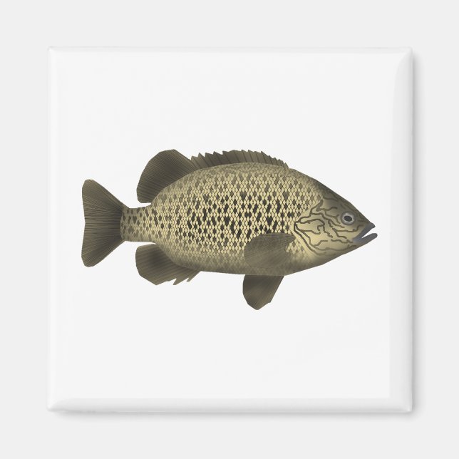 Aimant Grunter le charbon (Devant)