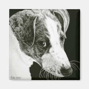 Aimant Gryhound - "Paddy"