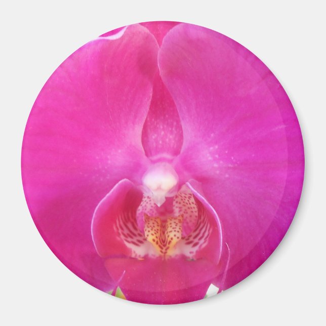 Aimant Guda (Devant)