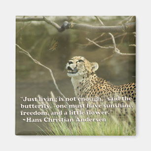 AIMANT GUÉPARD ET PAPILLON