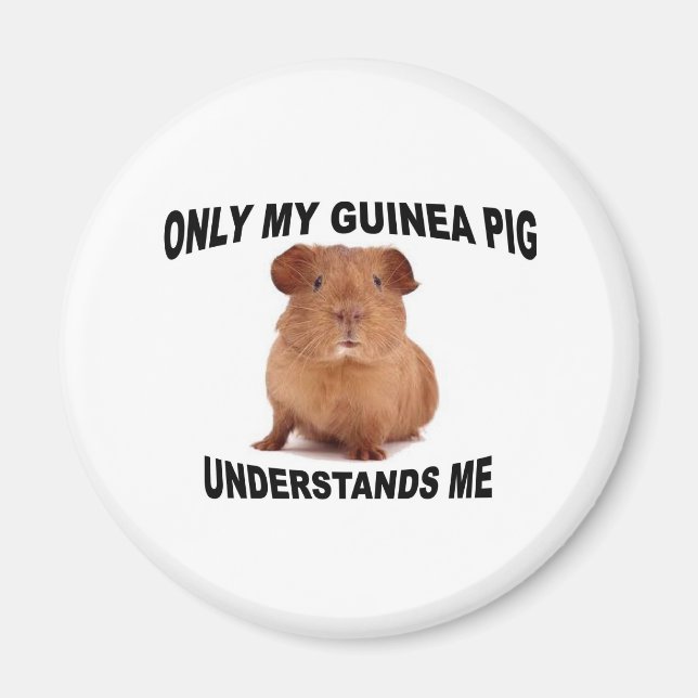 Aimant GUINEA.jpg (Devant)