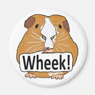 Aimant Guinée Pig Wheek