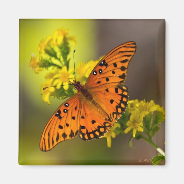 Aimant Gulf Fritillary ou Passion Butterfly sur Verge d'O (Devant)