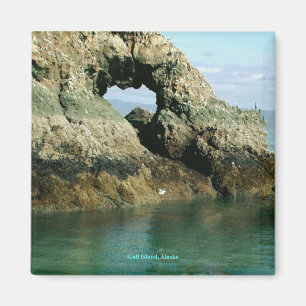 Aimant Gull Island, Alaska