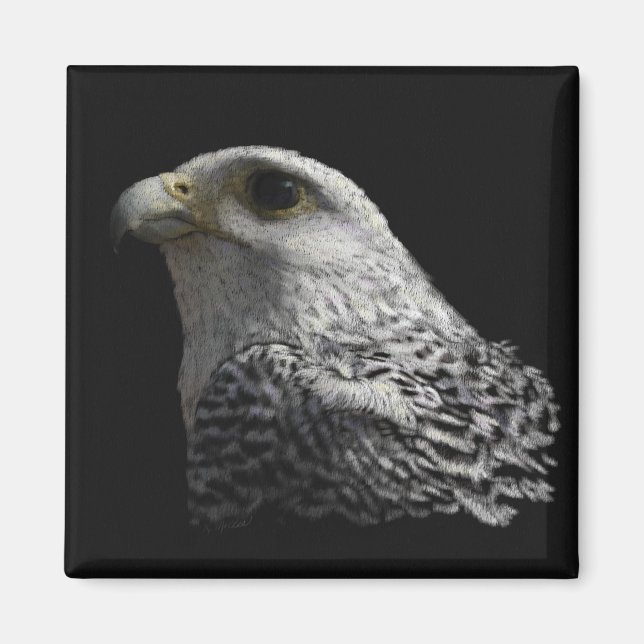 Aimant Gyrfalcon arctique (Devant)