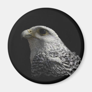 Aimant Gyrfalcon arctique