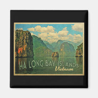 Ha Long Bay Îles Vietnam